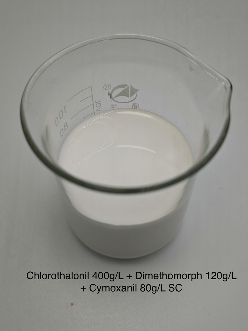 Chlorothalonil 400g/L + Dimethomorph 120g/L + Cymoxanil 80g/L SC